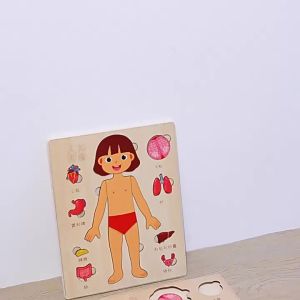 Montessori Puzzles for Toddlers Human Body Puzzle Anatomy Play Set Preschool Game Learning Human Body Parts Anatomy Skeleton Toy
