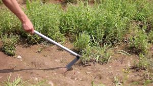 จอบสั้นดำ - จอบผานด้ามแป๊บ จอบสั้น จอบพร้อมด้าม ใช้งานง่าย น้ำหนักเบา จอบเกษตร เครื่องมือปลูกผักและดอกไม้ สวนจอบ