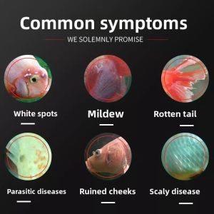 MONLEYTA | Methylene Blue Fish Medicine For Aquarium Fishes Special White Spot Clean Treatment Against Water Mold Disease Aquarium Disinfection And Killing Germs