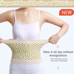 Mugwort Dehumidification Therapy Waistband Self-Heating Warm Waistband Lower Back Lumbar Back Brace