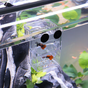 Khay Ép Cá Đẻ - Lồng Đẻ Cho Cá Bảy Màu Cá Cảnh Nhỏ Gọn Chất Liêu Mica Trong Suốt - Lòng Ấp Và Tách Cá Dưỡng Bệnh Size 10x7x13 cm Tiện Lợi