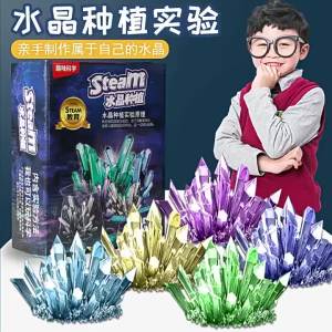 YEGBONG | Crystal Growing Model Science Kit A Variety Of Colors Of Crystal Selection Educational Toys Gifts For Boys And Girls