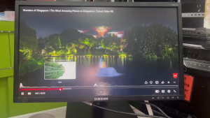 Samsung Monitor GRADE A 24" S24E450F | 1920x1080 FHD | Adjustable stand . Refurbished as New | GUARANTEED CHEAPEST. Discounted item so  we dont accept any voucher