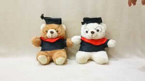 Dreamtoys96 Boneka Wisuda Boneka Bear Wisuda L