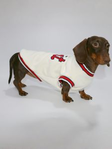 Spring Autumn Thin Sport Vest Dog Cat Pet Clothes Breathable Polyester Fabric Outdoor Casual Trendy Daily Use Hand Wash