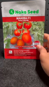 Benih Tomat MAHIRA F1 Hibrida 10 gram Benih Tomat MAHIRA F1 Hibrida 10 gram