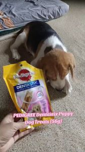 56g Pedigree Dentastix Puppy Dog Treat Dogs Snack Food