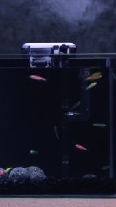 กรองเเขวนสำหรับตู้ปลาขนาดเล็ก 8-14 นิ้ว เหมาะสมสำหรับเด็ดเยาว์