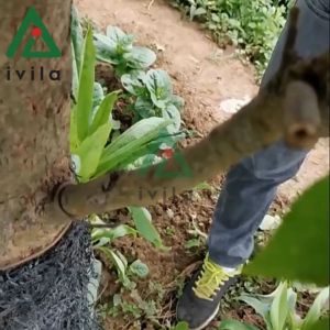 Kéo cắt tỉa cành trợ lực KTC223  dụng cụ cắt tỉa cây nhanh chóng hiệu quả - Chất liệu thép hợp kim SK5 siêu cứng