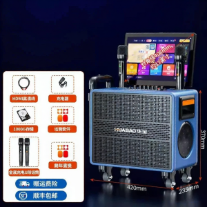 HUABAO | Portable Home and Outdoor KTV Speaker Set