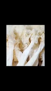 เยื่อไผ่ อย่างดี ขนาด 100 กรัม隆兴竹笙ไม้ไผ่