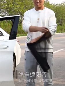 Car Sunshade & Anti-Mosquito Net: Protect Your Car & Passengers