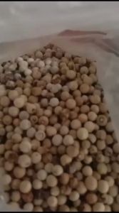 LADA BULAT UTUH 25gr / MERICA PUTIH TUH/ WHITE PEPPER  SEED 25gr / LADA PUTIH