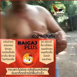 RaiGaj+ เฮอริเคน ไก่กระเพาะไม่ย่อย หวัดหน้าบวม ซอง 10 เม็ด กระปุก 3050 เม็ด