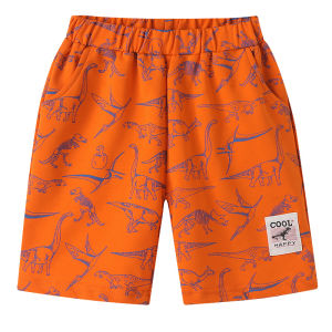 Boys Short Pants 2025 New Summer Childrens Clothing Baby Five-Part Pants Medium Large Childrens Thin Sports Mid-Calf Pants Outdoor Wear