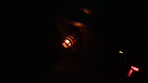 Car N Driver Ionizer Air Purifier with Orange OR BLUE Light 12V