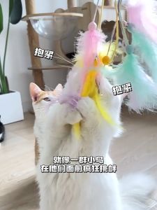 PEIGEXIAOMAO Kucing Tongkat Fairy Teasing Cat Stick with Ostrich Feather 仙女棒羽毛多多逗猫棒