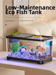 HUICHONG | Filtering Oxygenating Aquarium Fish Tank