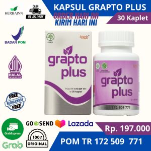 Kapsul Grapto Plus Asli Obat Ambeien BAB Berdarah Obat Wasir Alami Ampuh