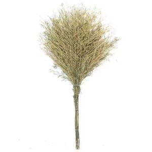 Chổi Tre Cổ Điển Dùng Ngoài Trời Chổi Quét Sân Bằng Rơm Broom 002 Của Thương Hiệu Bao Feng Dụng Cụ Vệ Sinh Gia Đình