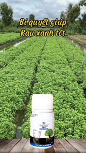 Phân bón hữu cơ F2F Plus | Chăm sóc hoa kiểng và trồng rau sạch
