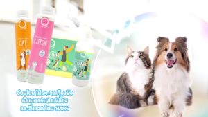 O2 Organic Dog Shampoo สูตรอ่อนโยน กำจัดยีสต์และเชื้อรา หอมยาวนาน สำหรับสุนัขทุกสายพันธุ์