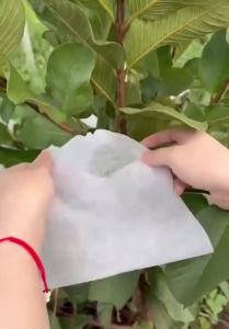 ถุงผ้าห่อผลไม้ 20*25cm/ 18*20cm(มัดละ 100 ใบ) ห่อฝรั่ง น้อยหน่า ชมพู่ มะม่วง มะปราง อะโวคาโด ป้องกันแมลง ถุงผ้าสปันบอนด์ ใช้ซ้ำได้