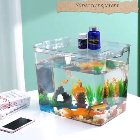 Goldfish Tank For Office Space With Fish photo