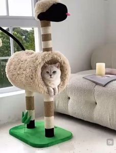 <Yobear & Co.> Zeze Lamb Cat Tree Cat Condo Cat tower Cat Scratch Cat Stand house Game Furniture