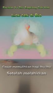Racikan Yu zhu Engkong Gok Han Khusus Kewanitaan isi 15 Sachet
