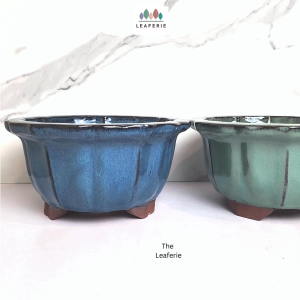 The Leaferie Bonsai plant pots (Series 69) Ceramic flowerpot . flowerpots . flower pot planter