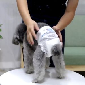 Popok Anjing Kucing Hewan Peliharaan Anti Bocor TTP1