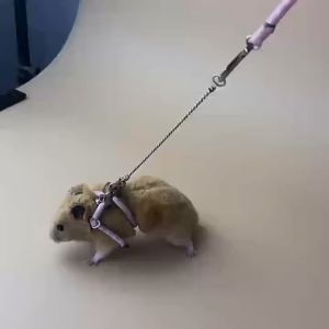 New Small Pet Adjustable Soft Strap Leash Bird Parrot Mouse Hamster Ferret Rat Pet Pig Leash Leash