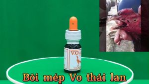 Bôi mép VO THÁI LAN dành cho gà Gà Sục MỏRách Mép Tronggà soi bội.Bôi Trực Tiếp Ko Ảnh Hưởng Tới GàMau Vên VảyTránh kénXước Mép cho gà đá.