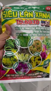 SIÊU LÂN XANH 1KG MUA 1 GÓI TẶNG 1 GÓI KALIBO HỒNG 50GAM KÍCH RA HOA TRÁI VỤ DÀY LÁ ĐỨNG LÁ