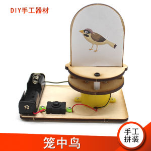 Star River Bank Electric Toy Bird Cage Fun Creative Assembly Handmade Model Material Package Learning Science Experiment Toy