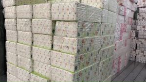 กระดาษทิชชู่ หนัก700g 1แพ็ค(12ม้วน) หนา5ชั้น ไร้แกนสุดคุ้ม กระดาษทิชชู่ไร้แกนกลาง สะอาด  ไร้ฝุ่น พร้อมจัดส่ง พกพาสะดวก ซับน้ำ ซับน้ำมัน ทิชชู่ยกลัง