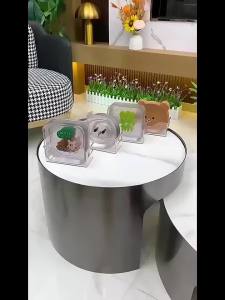 Nexlent Cute Bears Plate Reusable Plastic Breakfast Salad Yogurt Bowl Household Table Bone Spitting Plate