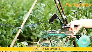 Tomatoes tomatoes cucumbers grapes grapes branching machines special tape nail accessories binding vines end belts strapping artifacts