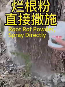 500g Tree Killer Chemical Hexazinone Root Removal Kill Tree and Bamboo multiple effects herbicide