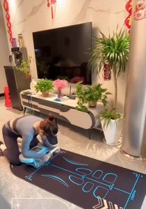 ลูกกลิ้งบริหารหน้าท้อง แบบรีบาวด์อัตโนมัติ หน้าท้องแบน พร้อมที่วางแขน เครื่องออกกําลังกาย Y951