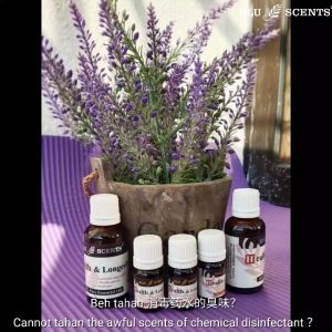 Blu Scents Health & Longevity Pure Essential Oil 5ml Antiseptic Immunity