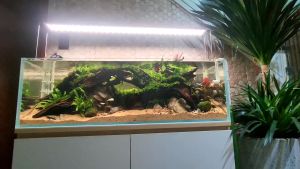 Đèn led KaoKui RGB Aquarium Light KK 3X series quang phổ bể thủy sinh cá tép cảnh store3