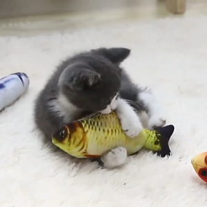 V-0005 Cat Toys - Catnip Fish Interactive Cat Toys