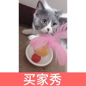 Pet toy cat toy feather cat toy bell non-falling track spring non-falling bell ball