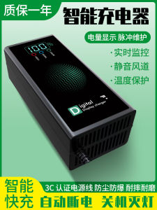 ชาร์จไฟฟ้าอัตโนมัติแบบมีปulsed ซ่อมแซม 48V 60V 72V ชาร์จแบตเตอรี่อัตโนมัติสำหรับรถจักรยานยนต์ไฟฟ้าที่ใช้พลังงานไฟฟ้า