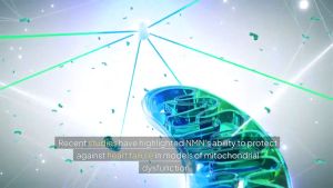 TENAC 99.9% Purity NMN 30000 NAD+ Booster Supplement Ultra High Concentration β-Nicotinamide Mononucleotide Anti-Aging 500mg x 60 Capsules 泰诺烟酰胺单核苷酸 99.9% 纯度补充剂抗衰老 TENAC 99.9% Ketulenan NMN 30000 NAD+ Ultra Tinggi Anti-Penuaan