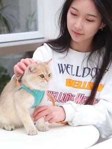 [Smilewil]สายจูงแมว เสื้อกั๊ก สะท้อนแสง สายจูงสัตว์เลี้ยง ปลอกคอแมว ผ้าระบายอากาศ Reflective