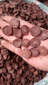 PROMO Pinang Iris Kering 1/2 KG / Buah Pinang iris koin kering