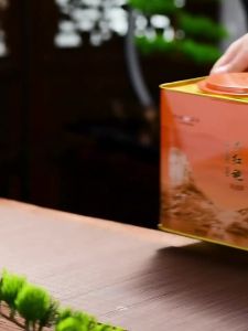 Ten Fus Tea | Trà Wuyishan Dahongpao 500g
